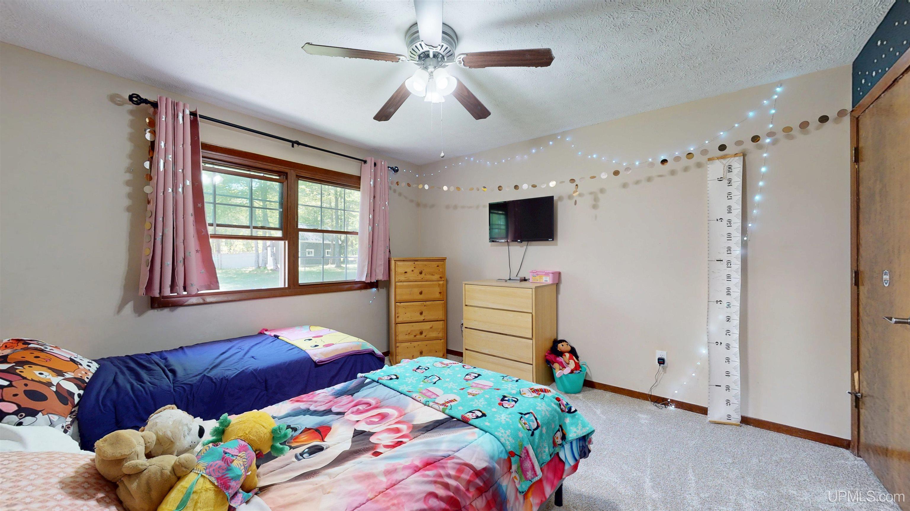 205 North Rose Street Ishpeming, MI 49849 - Photo 19 of 47