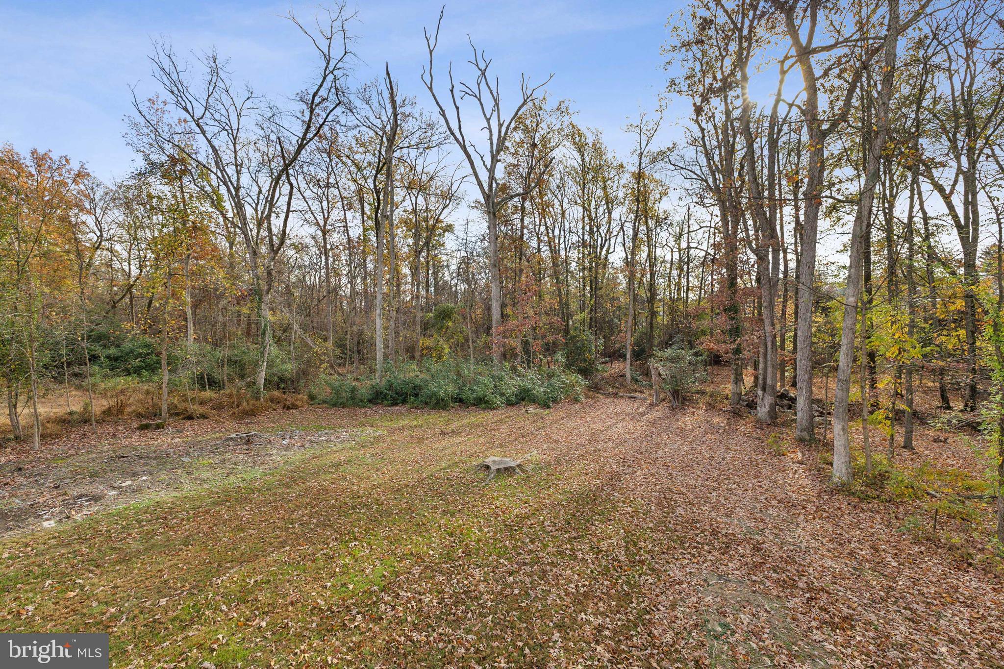 6505 Springbrook Lane Clinton, MD 20735 - Photo 60 of 64