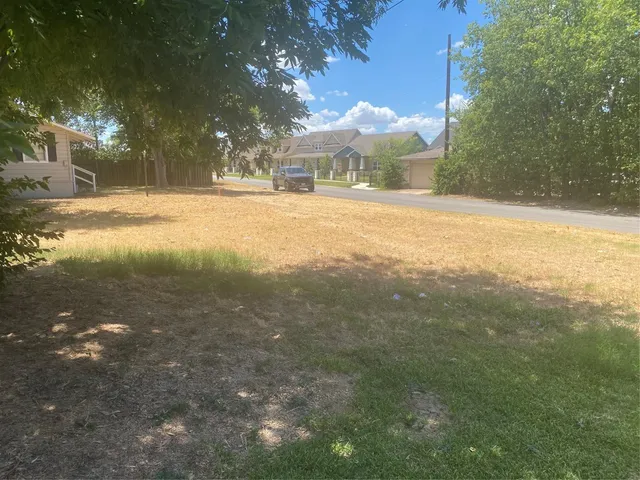 a view of road with large trees