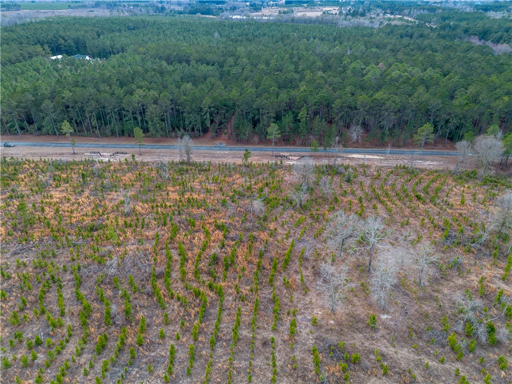 3 Bell Line Road Eastman, GA 31023 - Photo 3 of 8