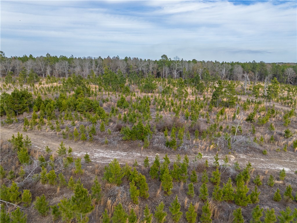 3 Bell Line Road Eastman, GA 31023 - Photo 4 of 8