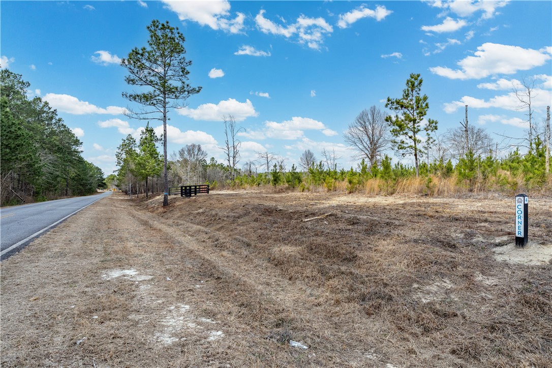 3 Bell Line Road Eastman, GA 31023 - Photo 5 of 8