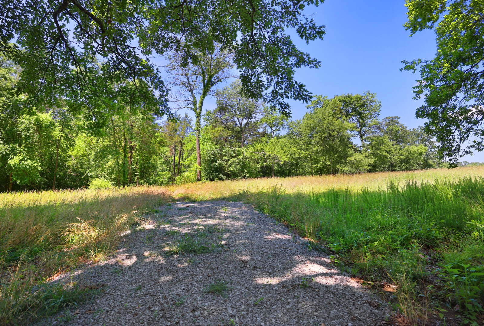 0 Wallace Road Gallatin, TN 37066 - Photo 5 of 23