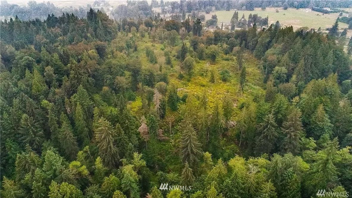 14516 OK Mill Road Snohomish, WA 98290 - Photo 11 of 12 Gallery Image 11