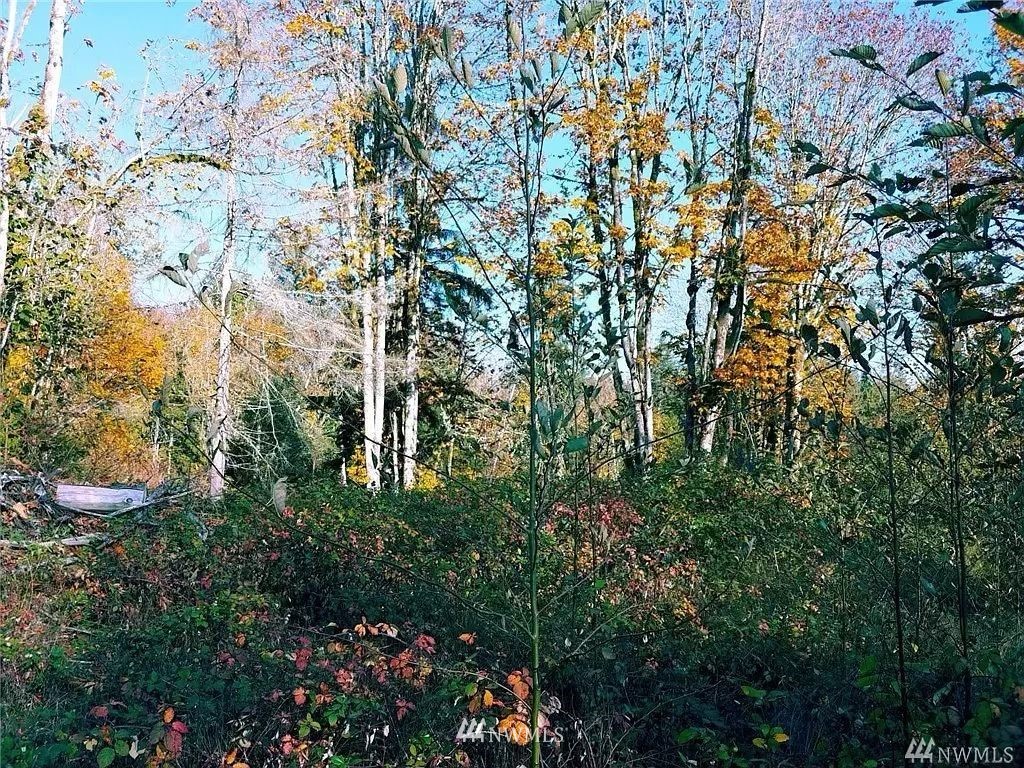 14516 OK Mill Road Snohomish, WA 98290 - Photo 3 of 12 Gallery Image 3