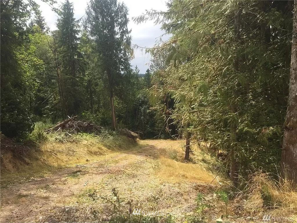 14516 OK Mill Road Snohomish, WA 98290 - Photo 4 of 12 Gallery Image 4