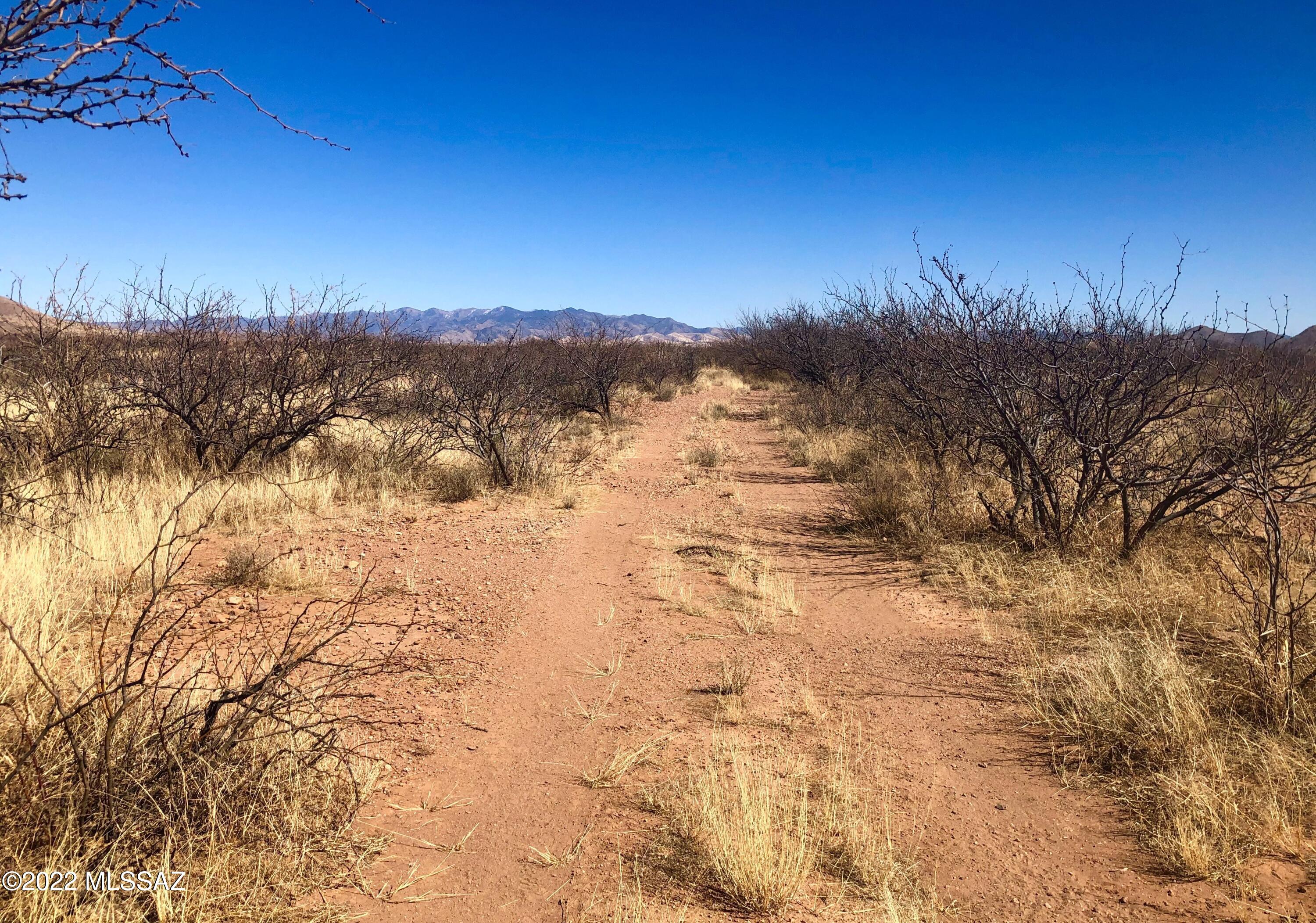 5.11-ac North Rucker Canyon Road Elfrida, AZ 85610 - Photo 4 of 50