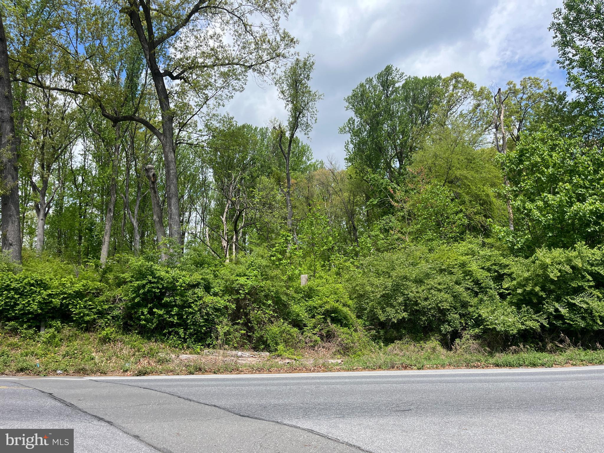 1639 Cedar Top Road Reading, PA 19607 - Photo 2 of 5 a view of a yard & a garden