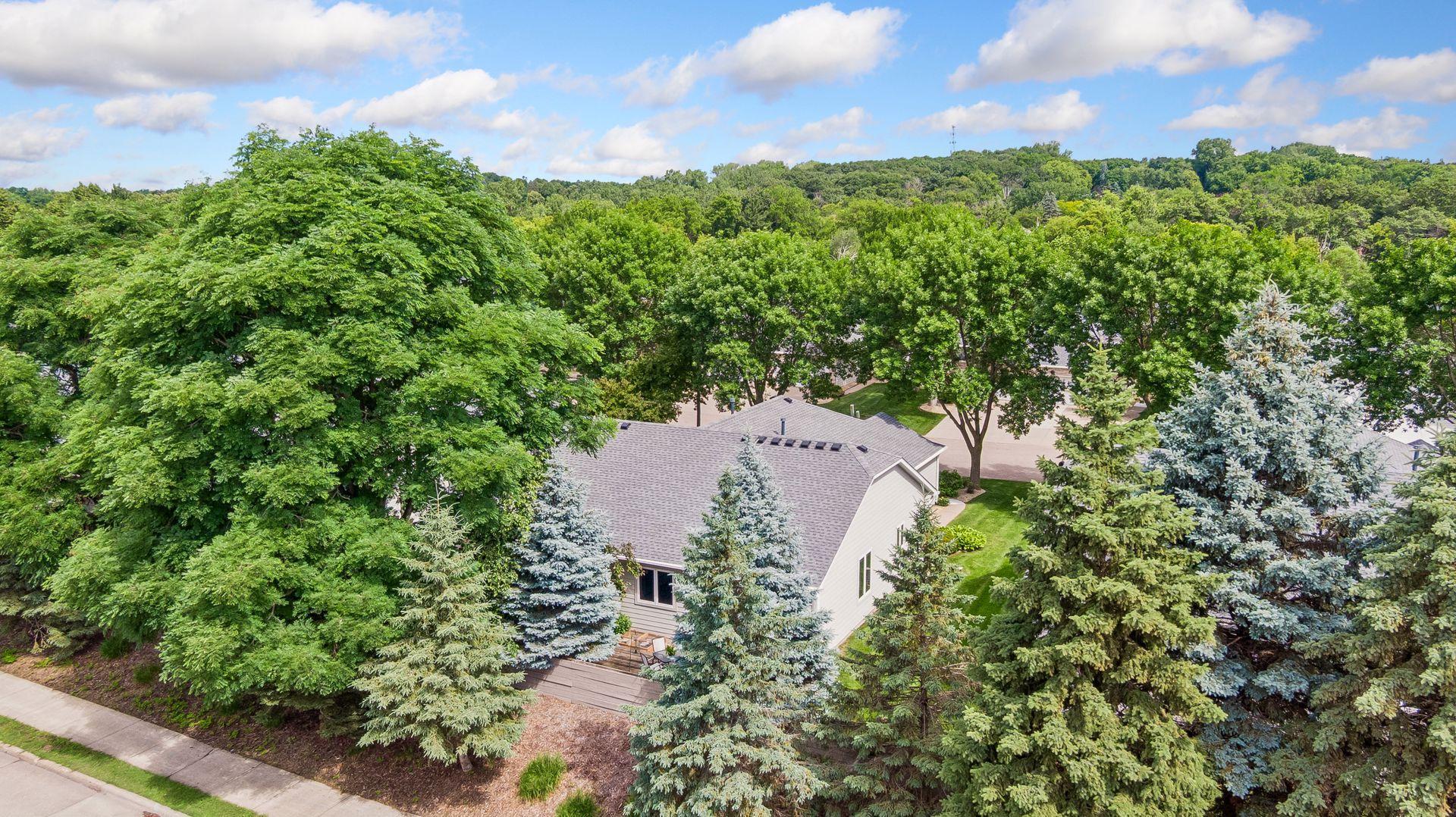 710 Emerald Ridge Roseville, MN 55113 - Photo 5 of 47
