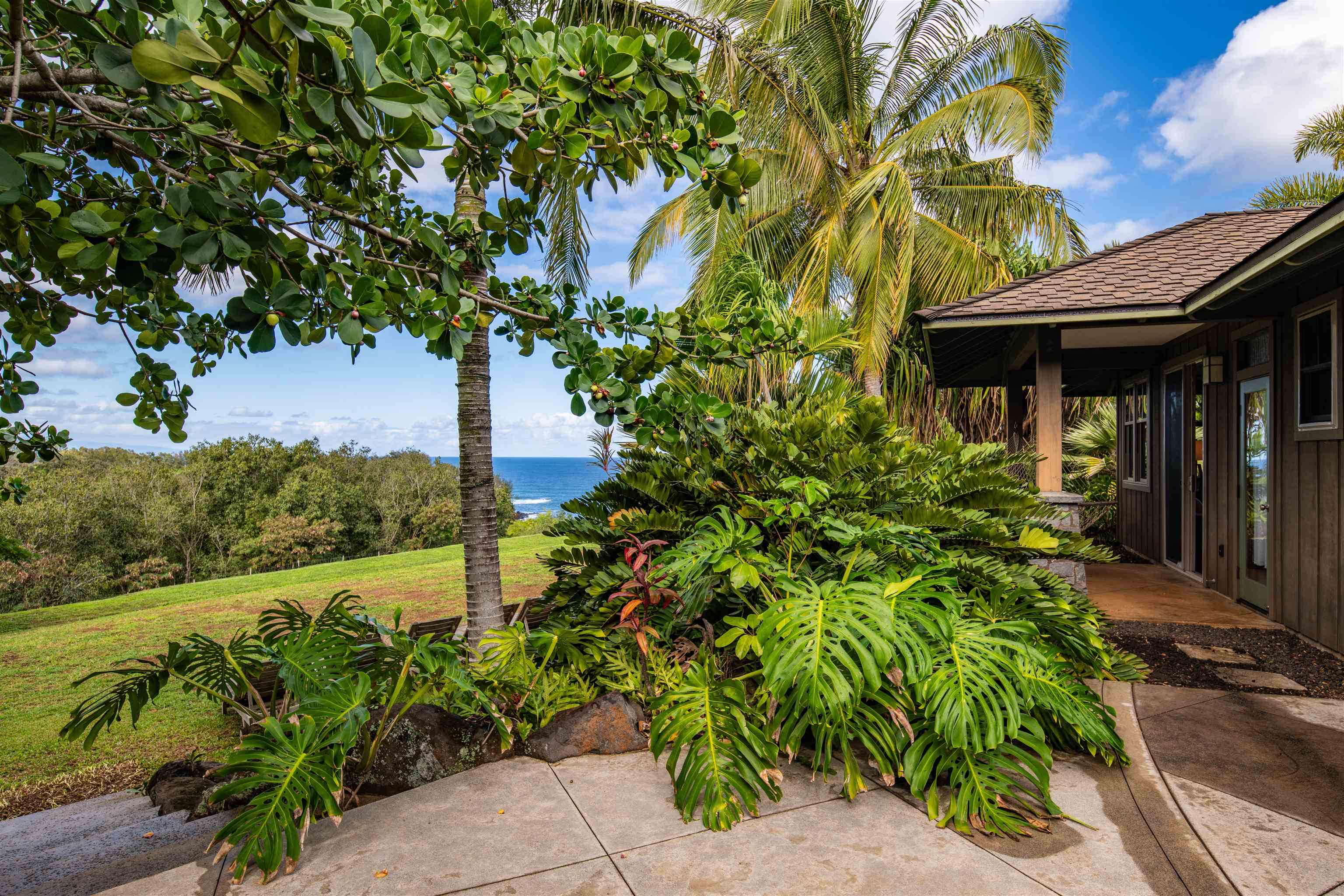 52 Papio Way, Unit A Haiku, HI 96708 - Photo 38 of 50 a backyard of a house with lots of green space