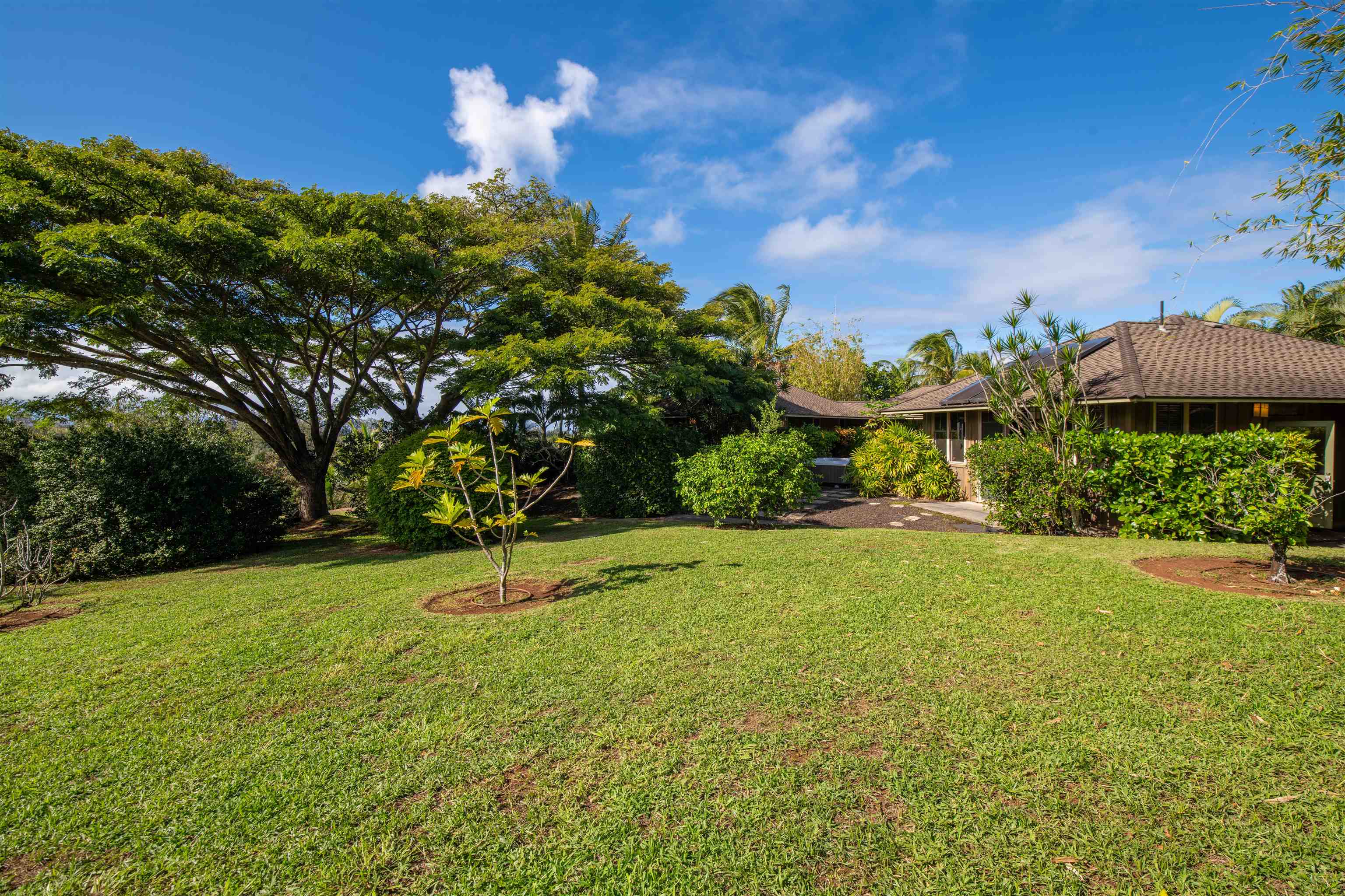 52 Papio Way, Unit A Haiku, HI 96708 - Photo 41 of 50 a view of a garden with a tree