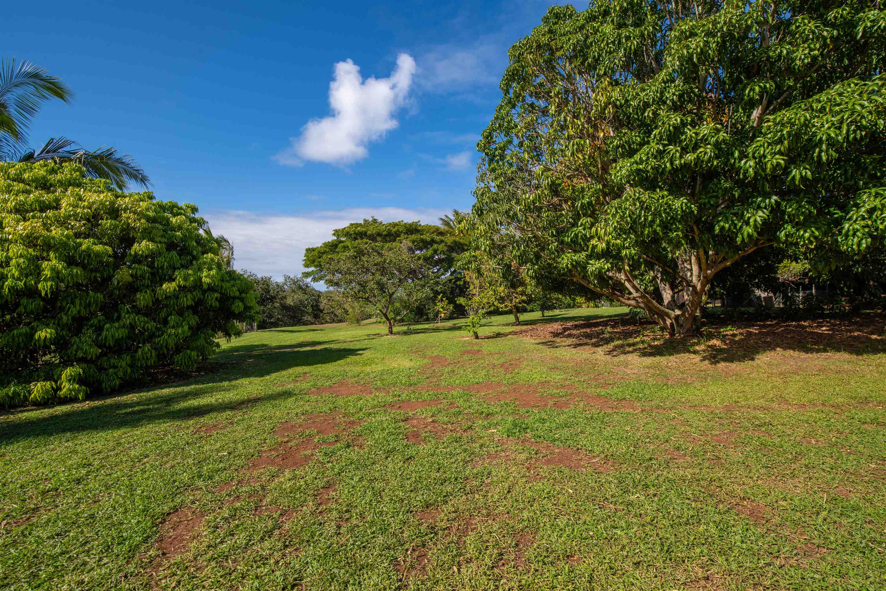 52 Papio Way, Unit A Haiku, HI 96708 - Photo 42 of 50 a view of a yard with a house