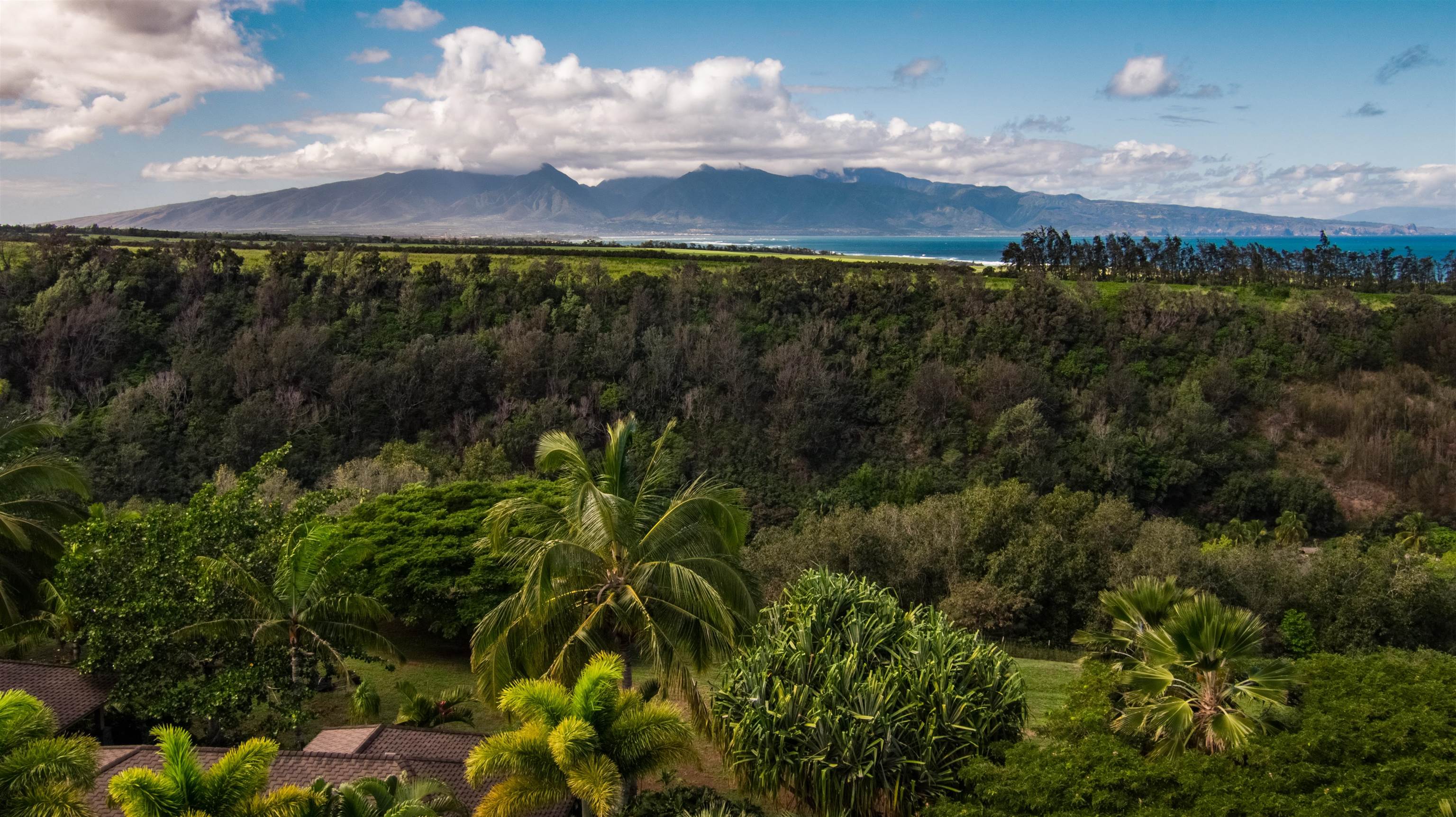 52 Papio Way, Unit A Haiku, HI 96708 - Photo 44 of 50 a view of outdoor space and yard