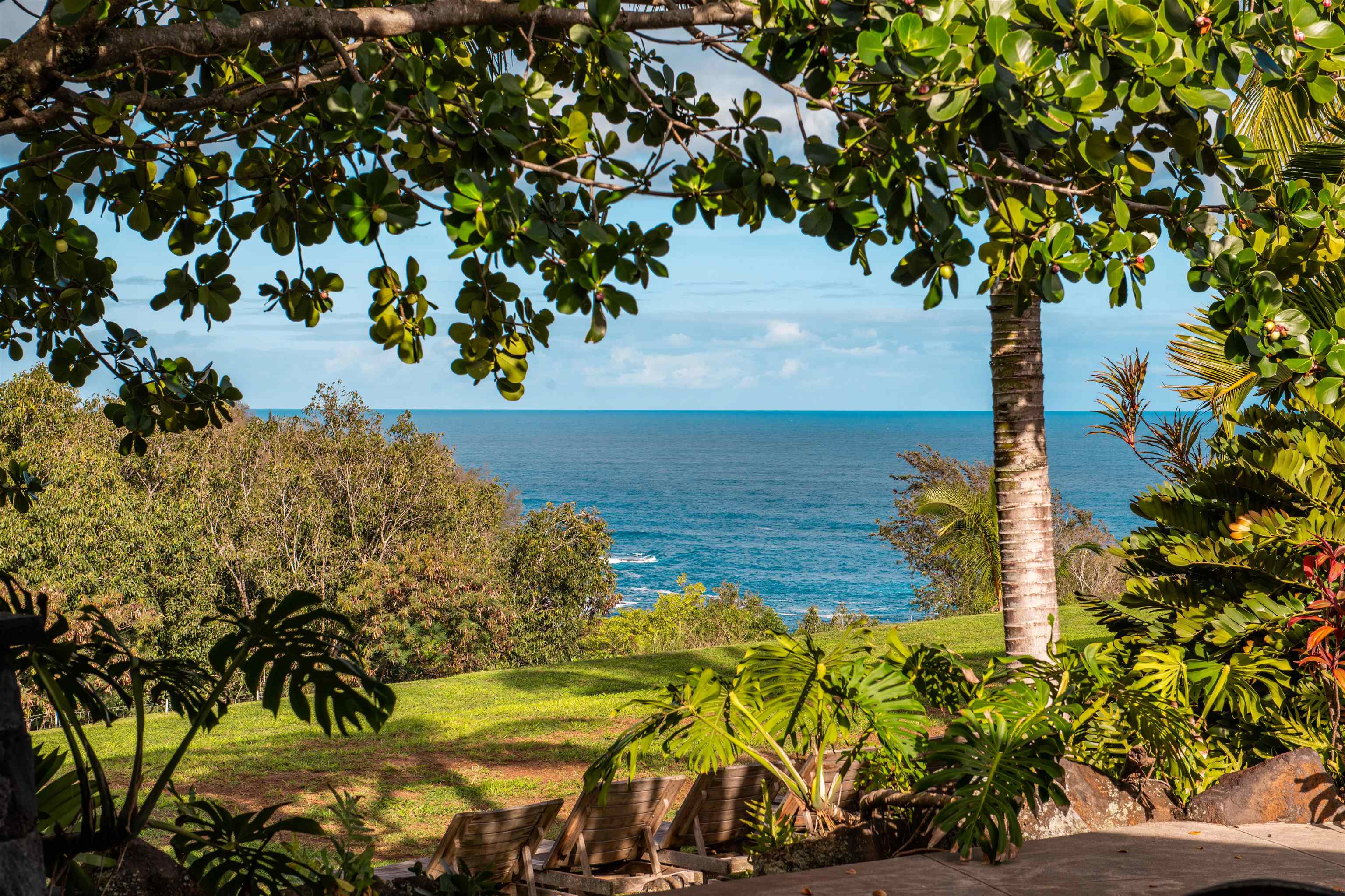 52 Papio Way, Unit A Haiku, HI 96708 - Photo 10 of 50 a view of a tree with a yard