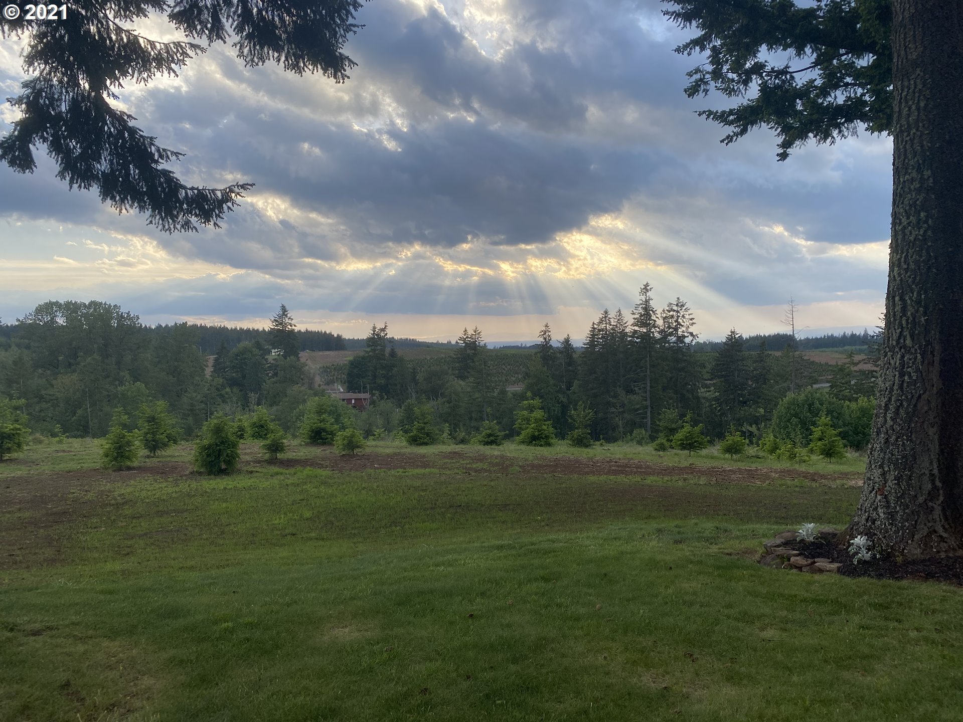 16405 South Novak Road Molalla, OR 97038 - Photo 3 of 32 View