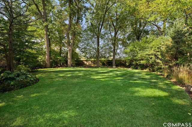 a view of a park with large trees