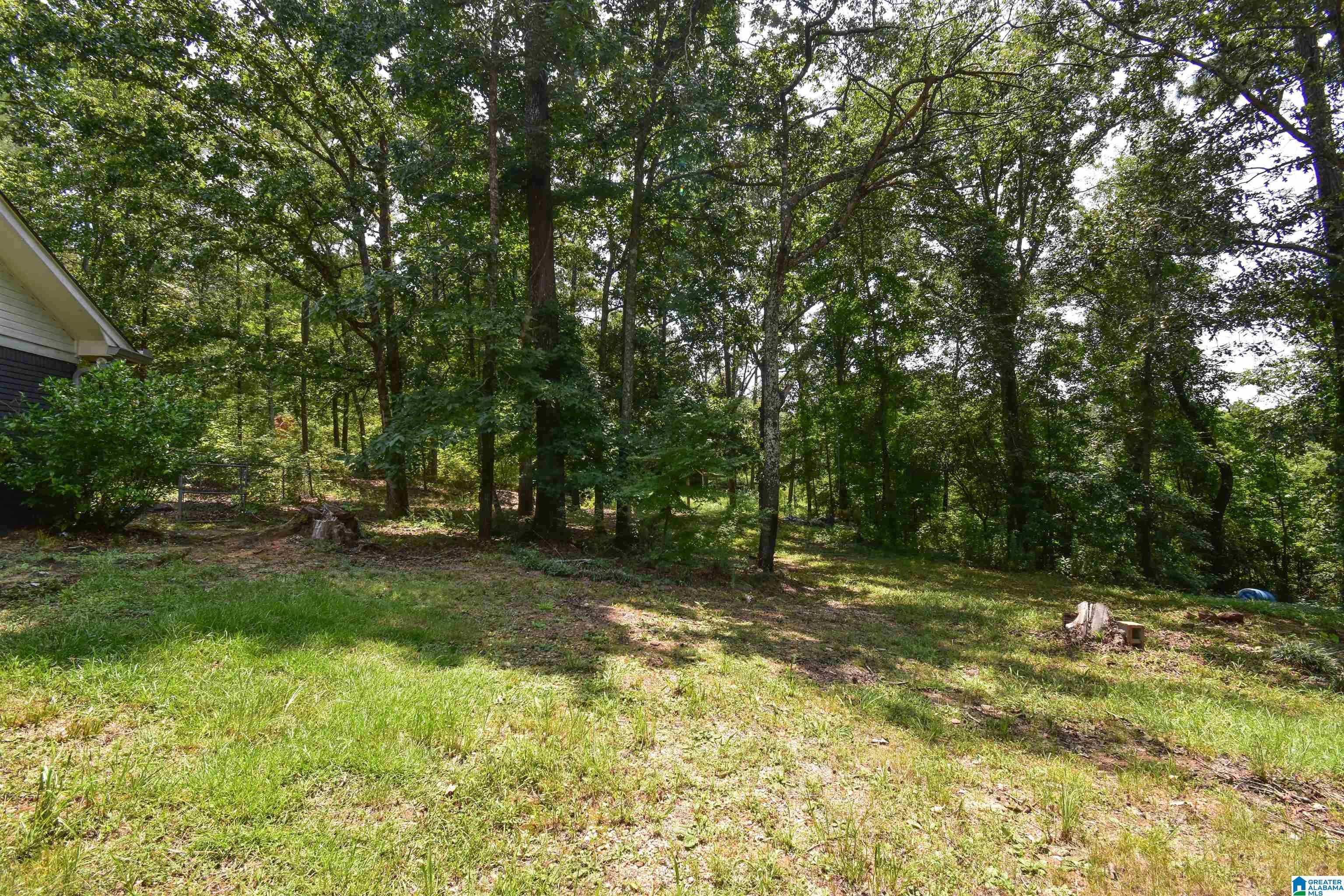 11322 Hen Smith Road Vance, AL 35490 - Photo 45 of 55 Gallery Image 45