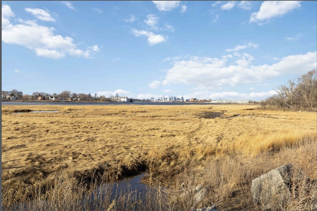 133 Commander Shea Boulevard, Unit 219 Quincy, MA 02171 - Photo 14 of 14