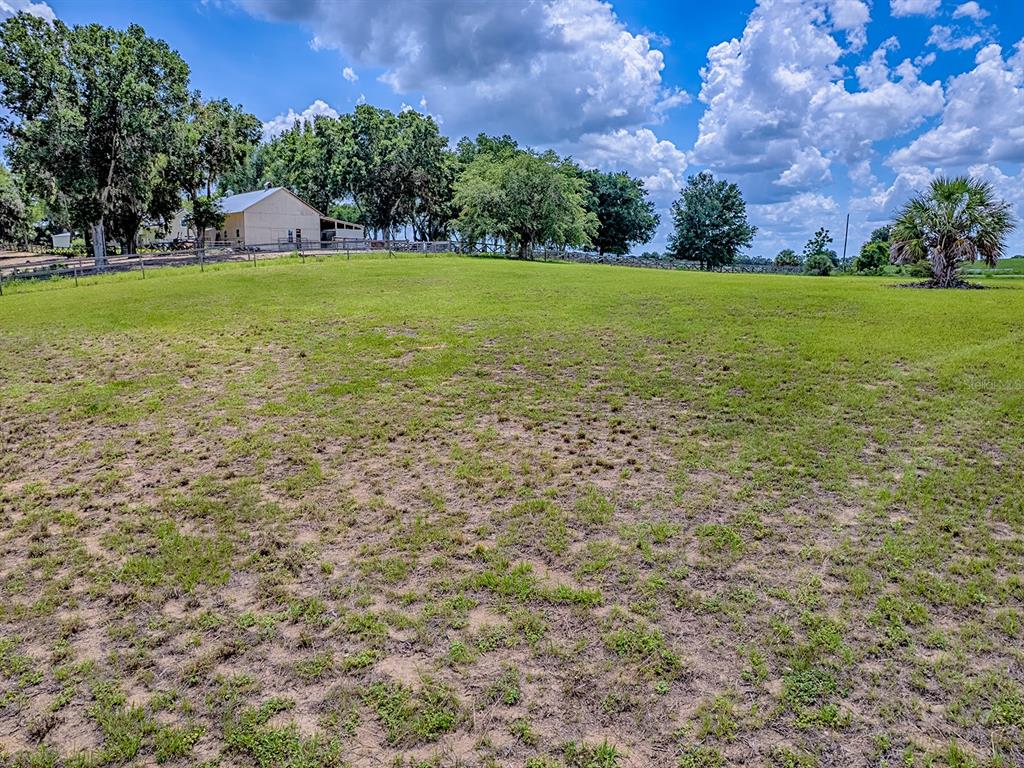 a view of a field with an trees