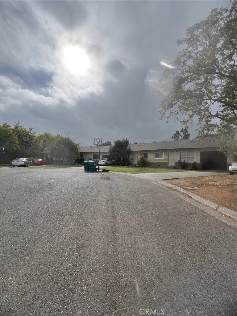 a view of a big yard with plants and large trees