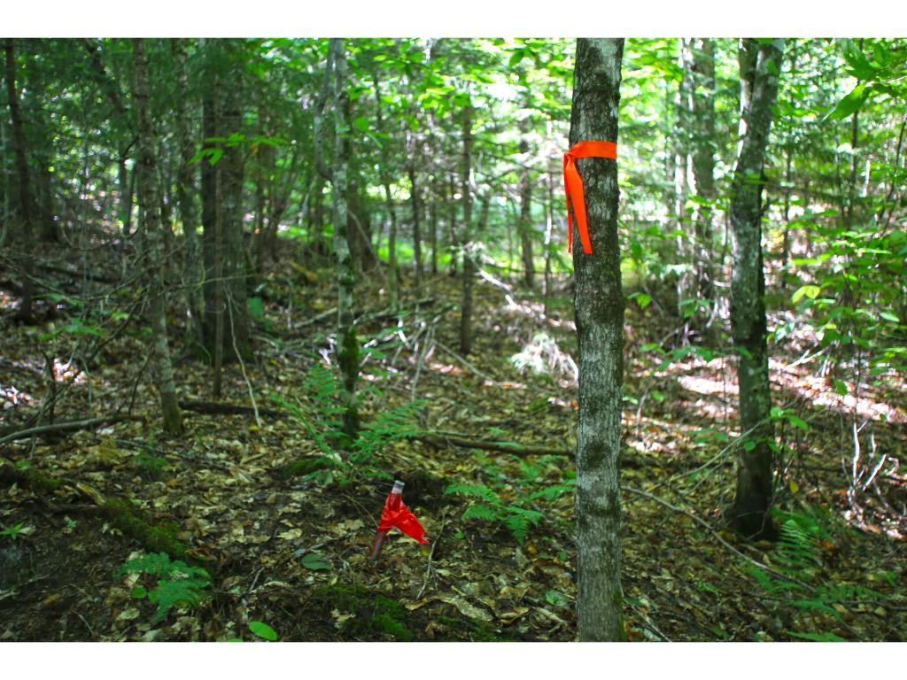 159 Marsh Road East Calais, VT 05650 - Photo 11 of 36 Gallery Image 11