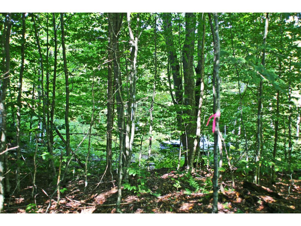 159 Marsh Road East Calais, VT 05650 - Photo 12 of 36 Gallery Image 12