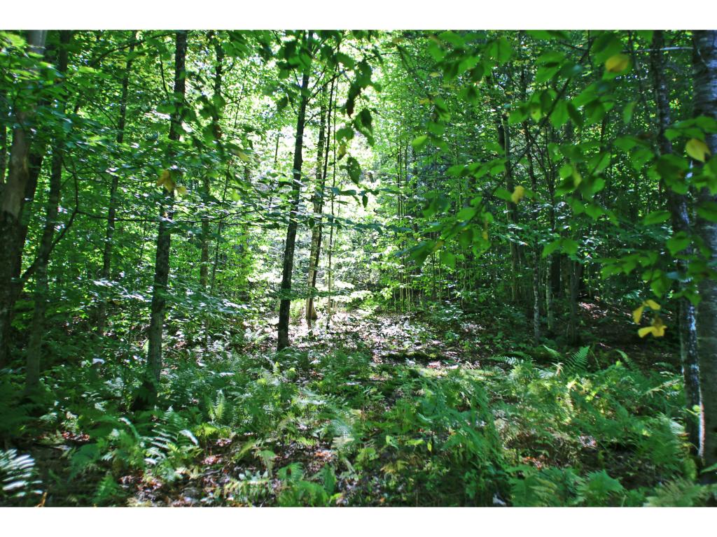 159 Marsh Road East Calais, VT 05650 - Photo 21 of 36 Gallery Image 21