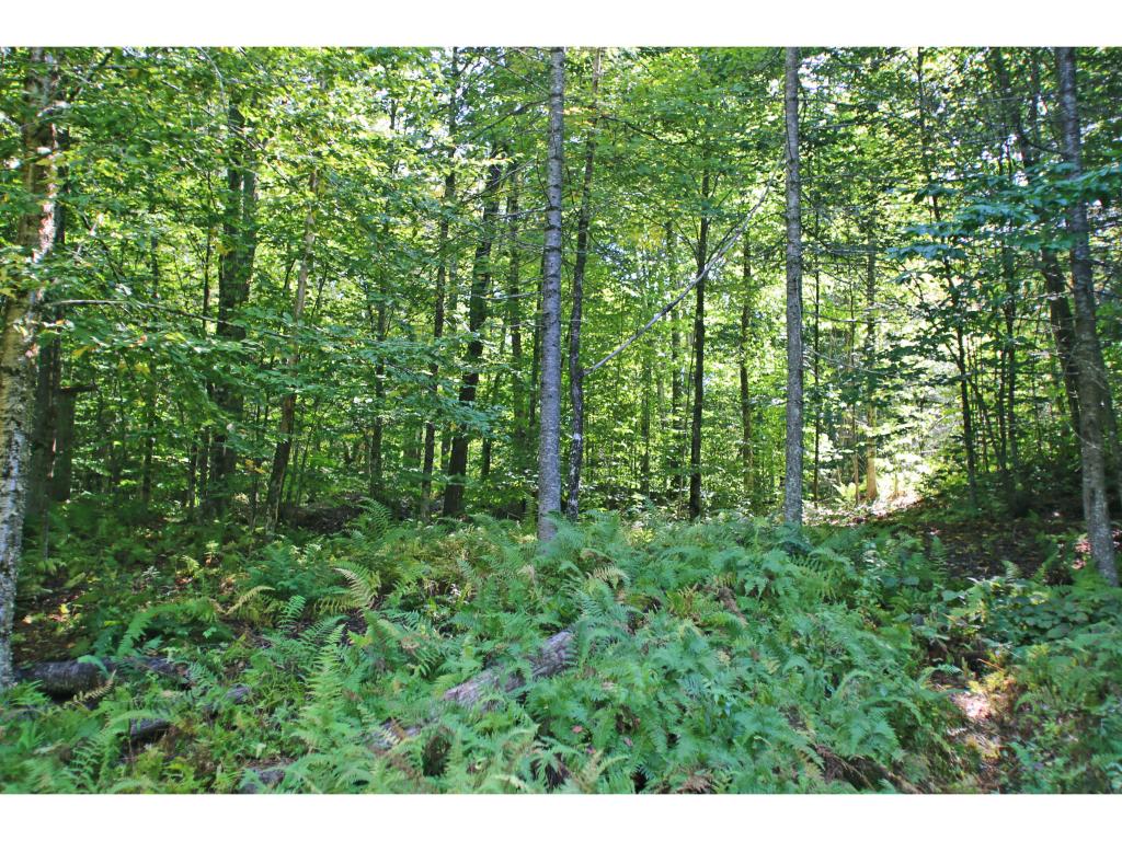 159 Marsh Road East Calais, VT 05650 - Photo 22 of 36 Gallery Image 22