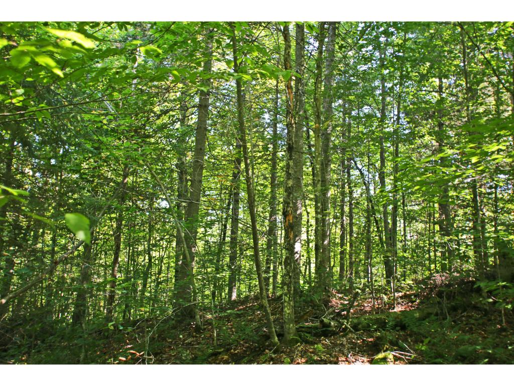 159 Marsh Road East Calais, VT 05650 - Photo 25 of 36 Gallery Image 25