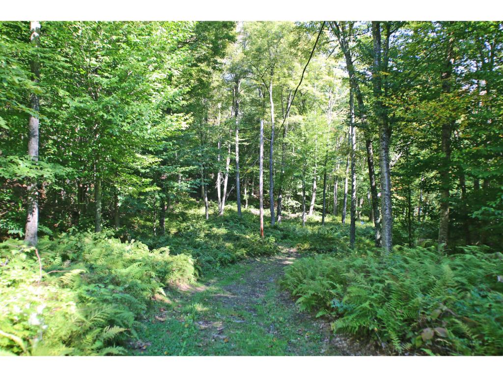 159 Marsh Road East Calais, VT 05650 - Photo 28 of 36 Gallery Image 28