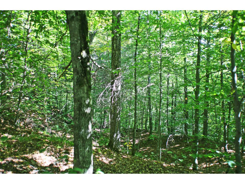 159 Marsh Road East Calais, VT 05650 - Photo 10 of 36 Gallery Image 10