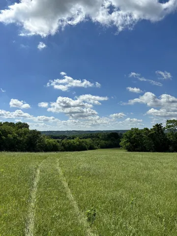 a view of an outdoor space and a yard