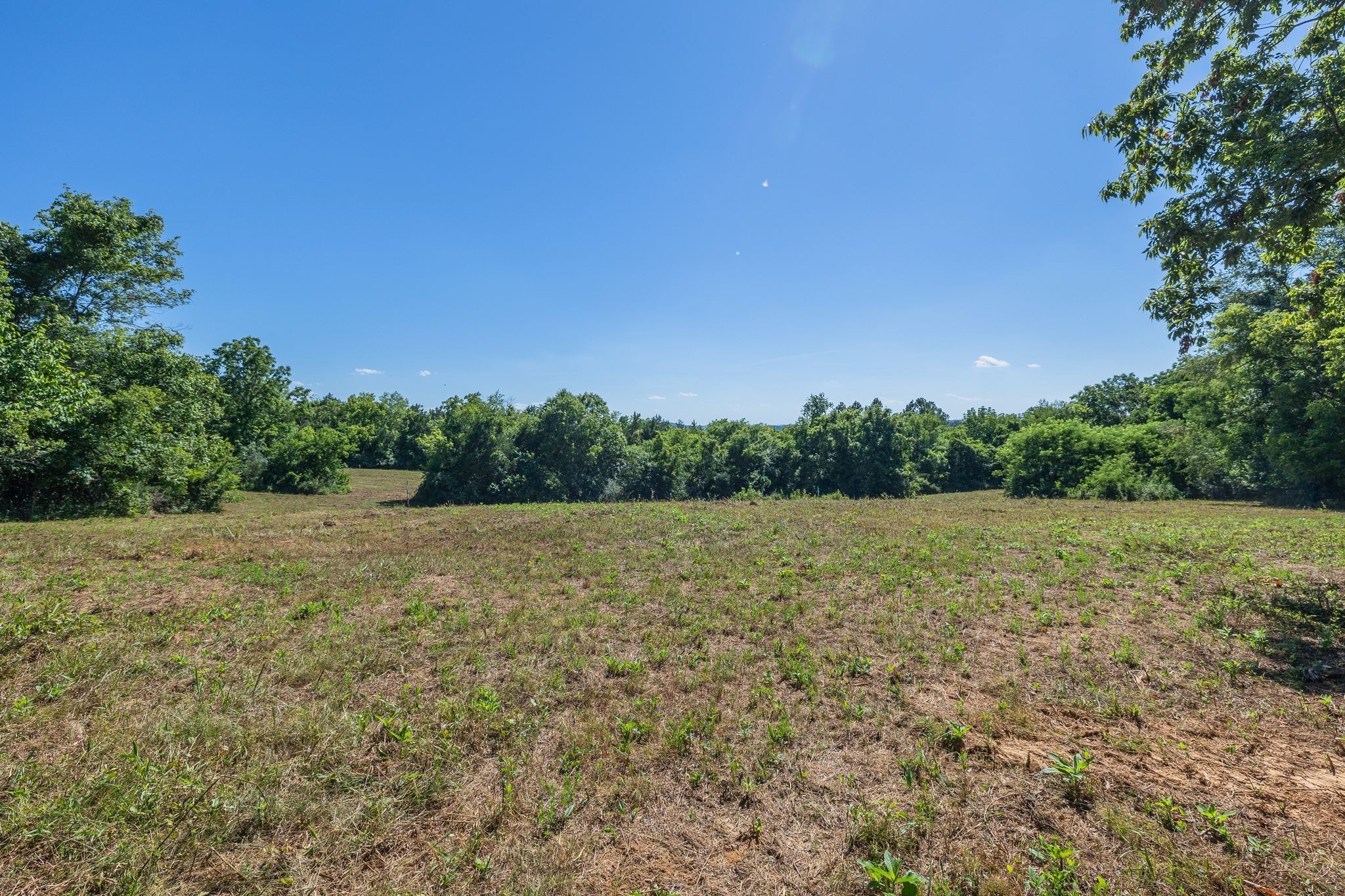 1091 Bugscuffle Road Wartrace, TN 37183 - Photo 4 of 8 a view of an outdoor space and a yard