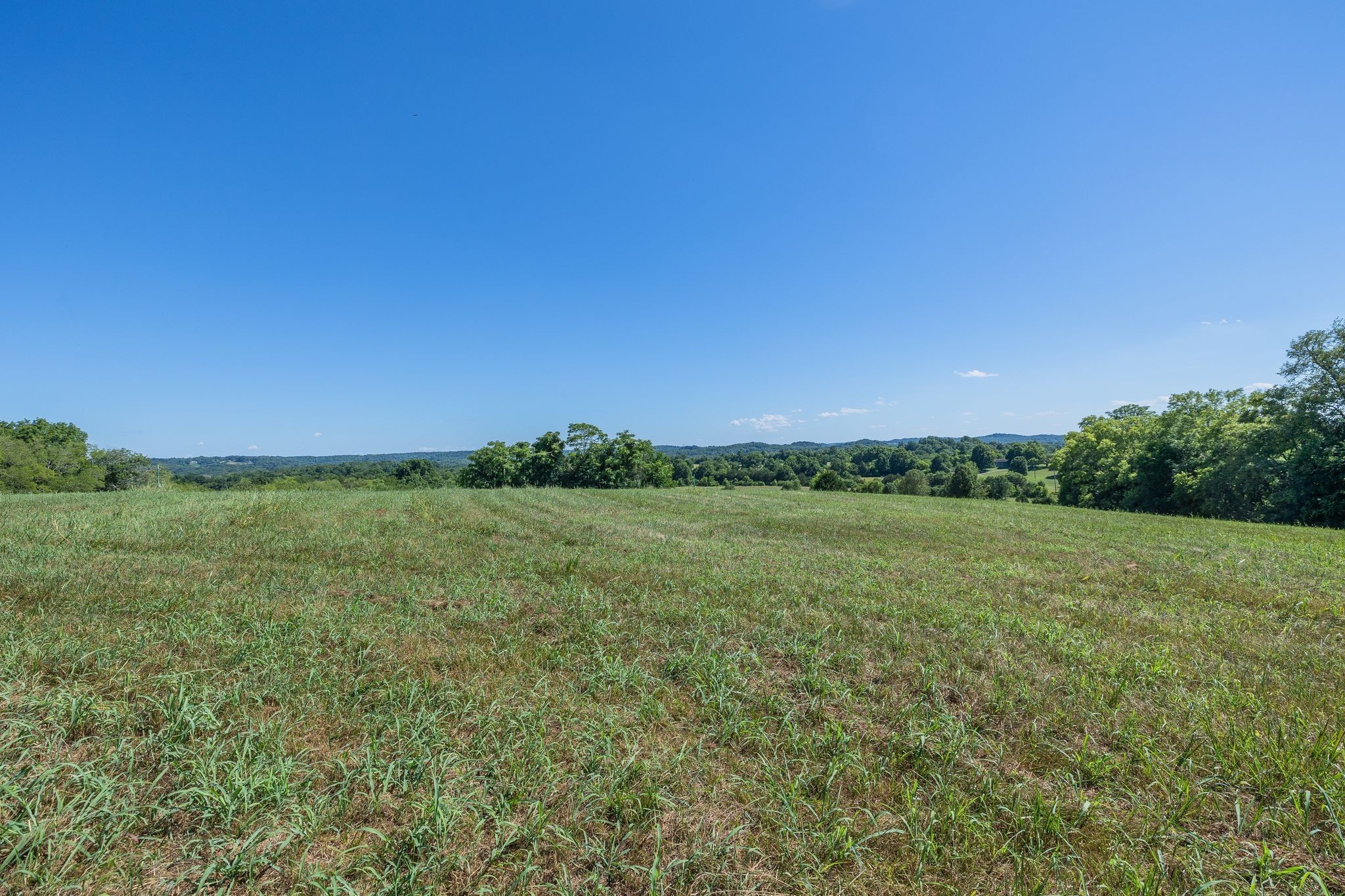 1091 Bugscuffle Road Wartrace, TN 37183 - Photo 5 of 8 a view of a field with an ocean