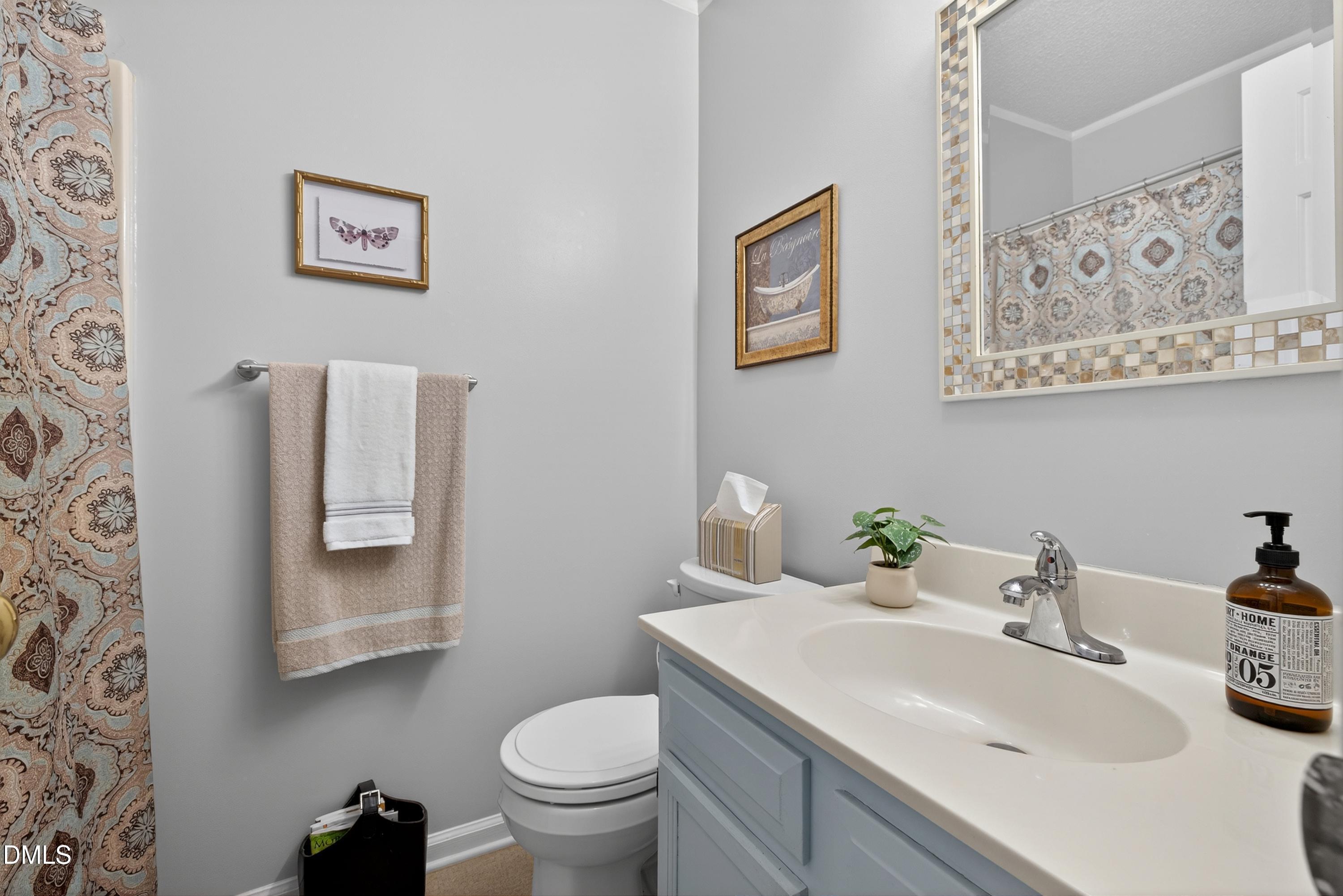 5313 Thistlebrook Court Raleigh, NC 27610 - Photo 25 of 43 Full Bathroom