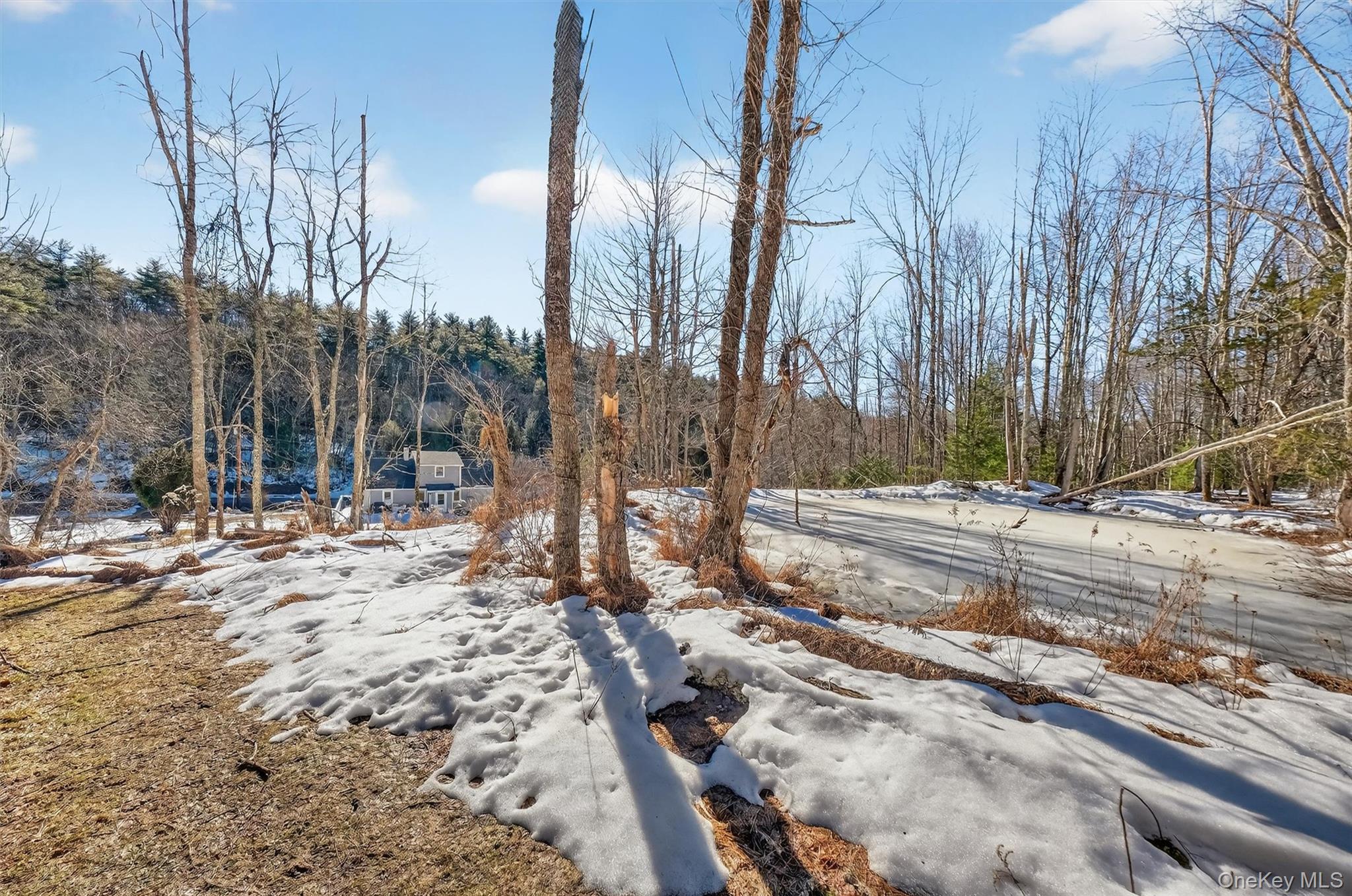 50 Tempaloni Road Ellenville, NY 12428 - Photo 34 of 46 a view of a yard with trees