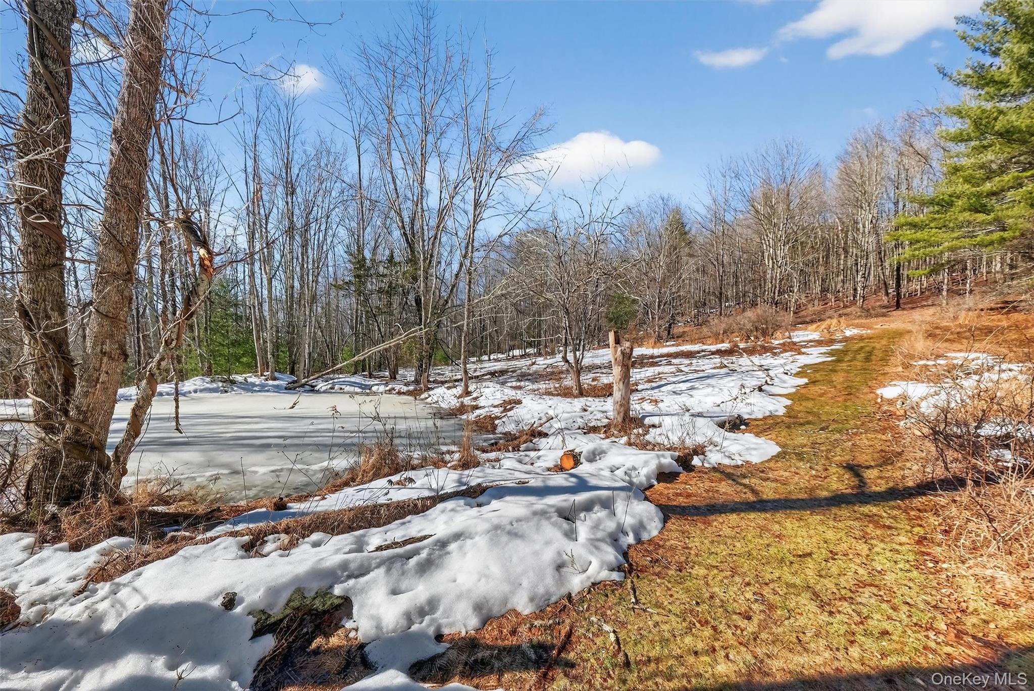 50 Tempaloni Road Ellenville, NY 12428 - Photo 35 of 46 a view of side of snow with yard