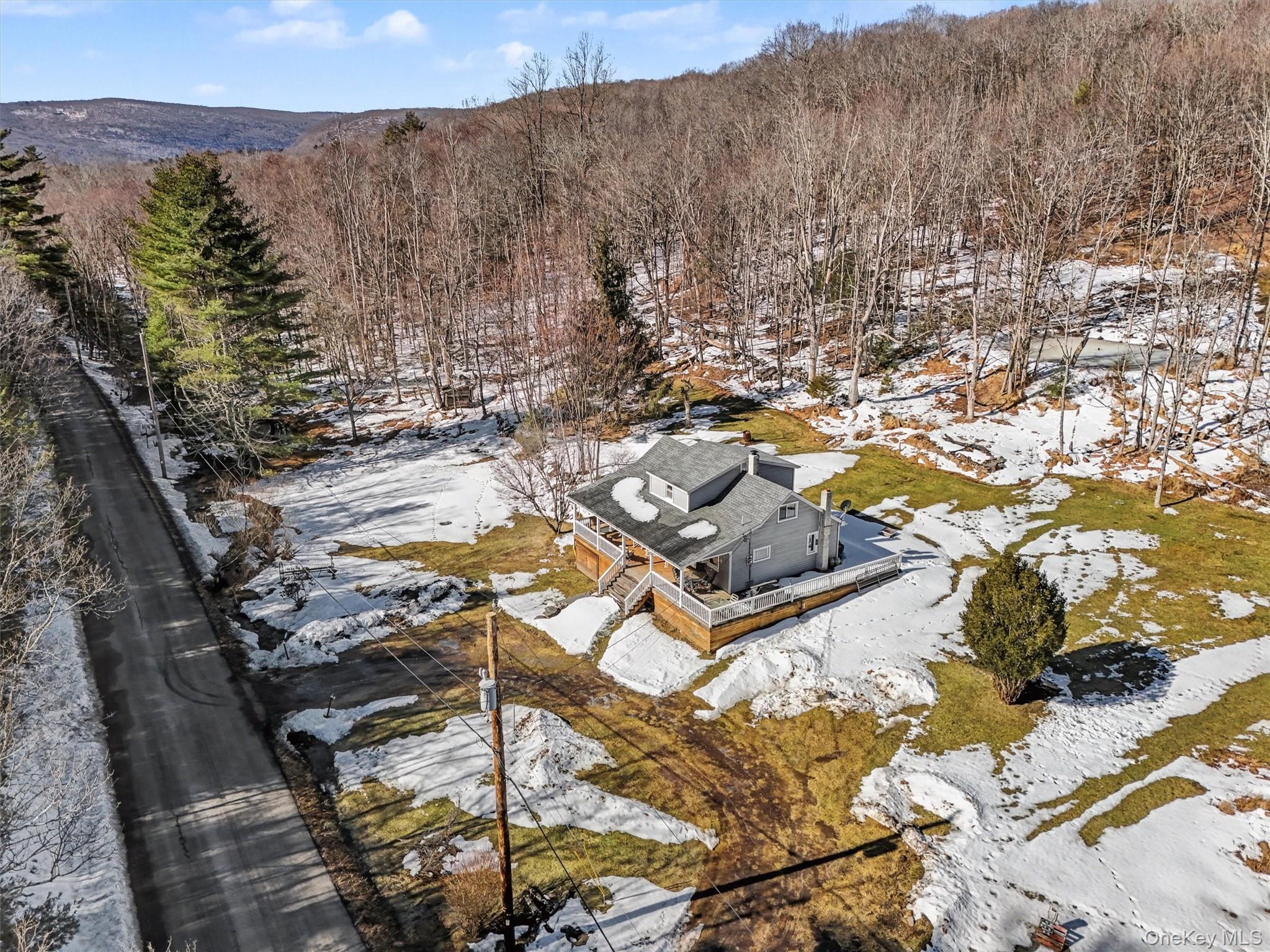 50 Tempaloni Road Ellenville, NY 12428 - Photo 37 of 46 a view of a backyard of a house
