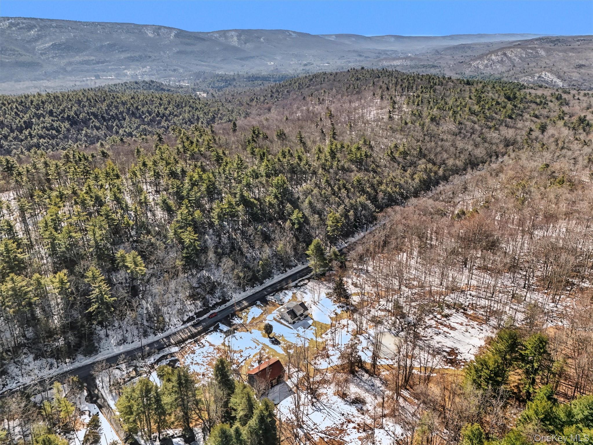 50 Tempaloni Road Ellenville, NY 12428 - Photo 39 of 46 a view of a forest with a mountain view