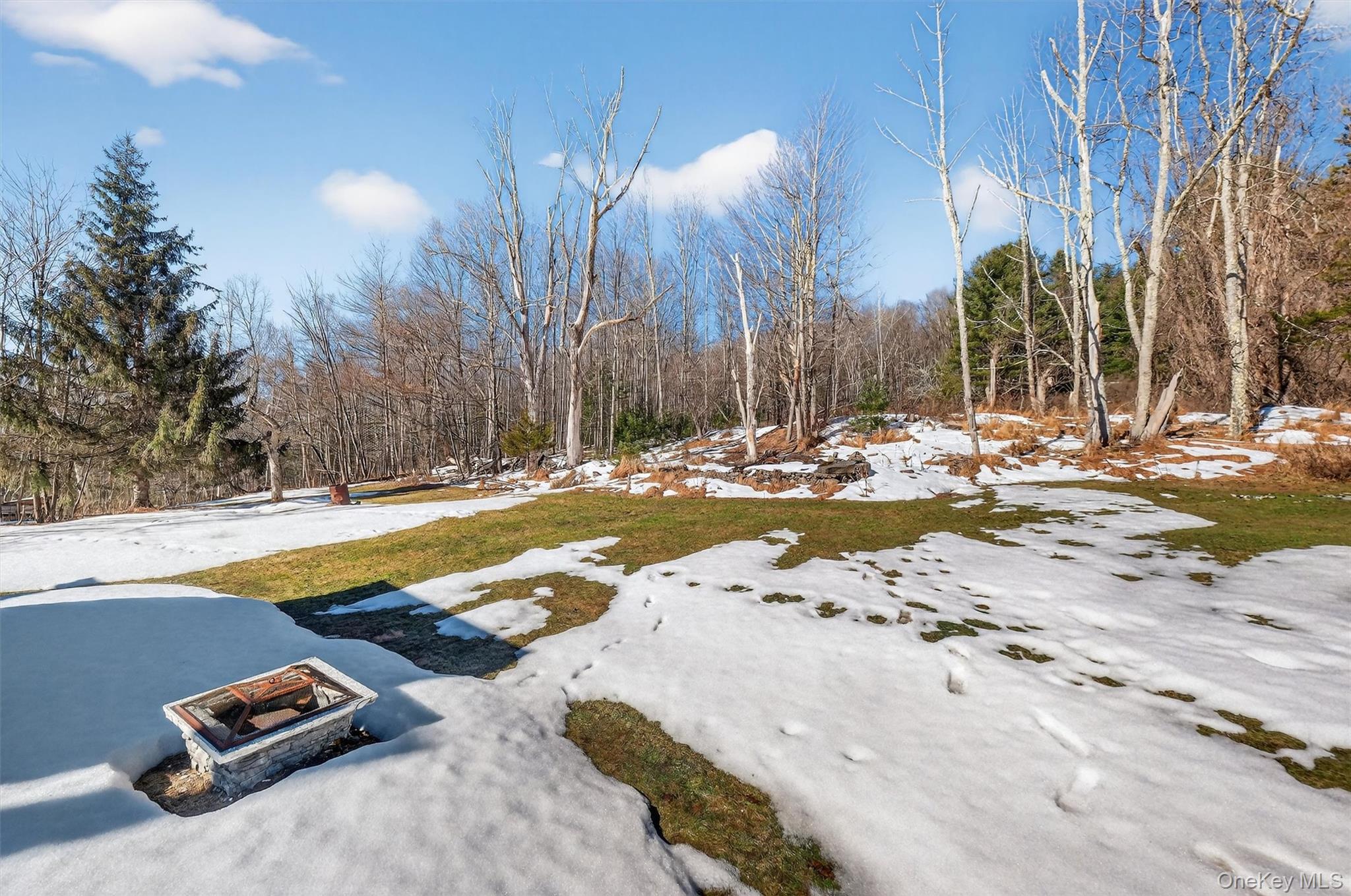 50 Tempaloni Road Ellenville, NY 12428 - Photo 45 of 46 a view of swimming pool with a yard