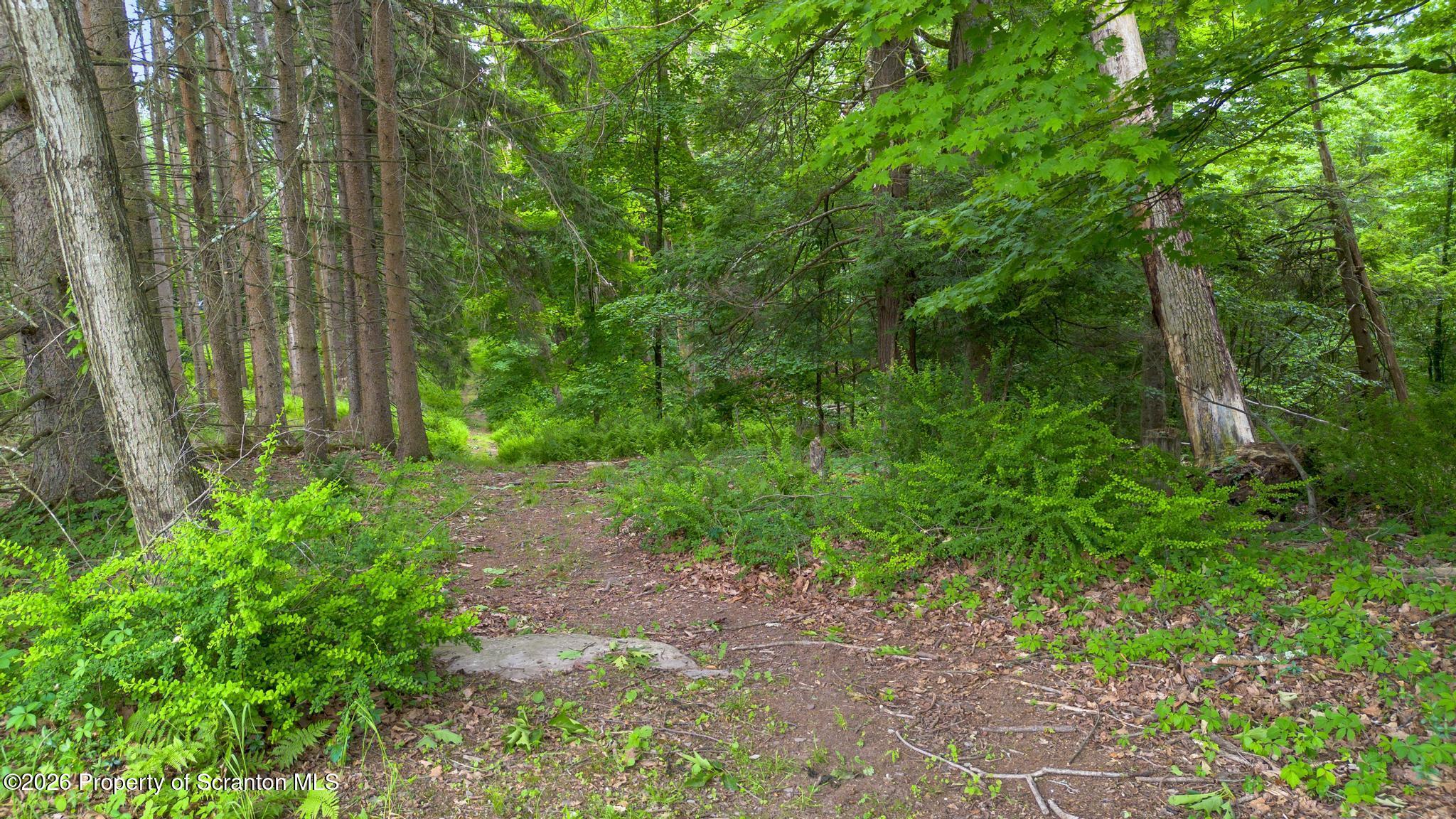 39 Golf Course Road Dallas, PA 18612 - Photo 79 of 111 DJI_0028-2