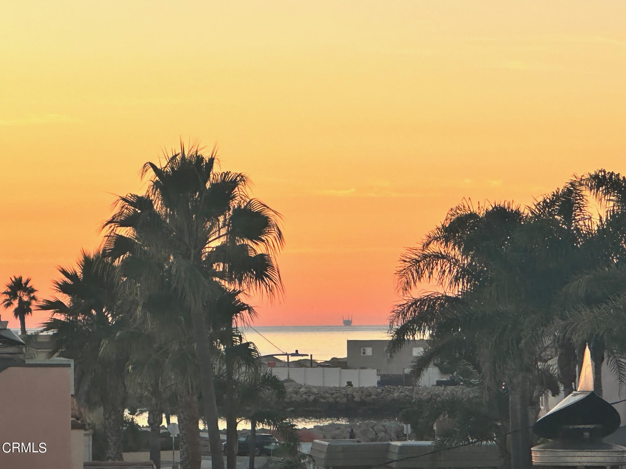 312 Melrose Drive Oxnard, CA 93035 - Photo 46 of 58 a view of a tree in front of a building