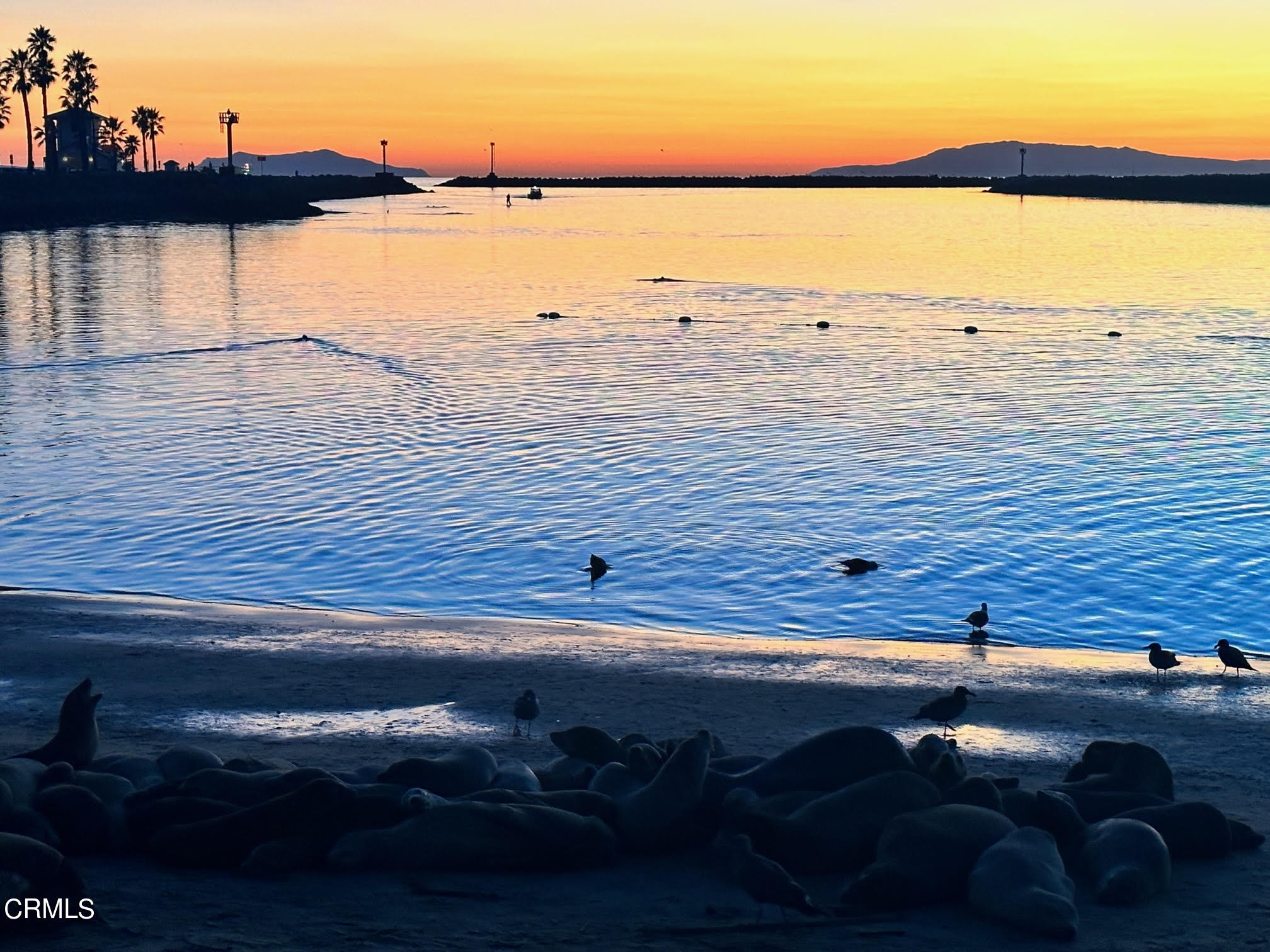 312 Melrose Drive Oxnard, CA 93035 - Photo 55 of 58 a view of an ocean beach