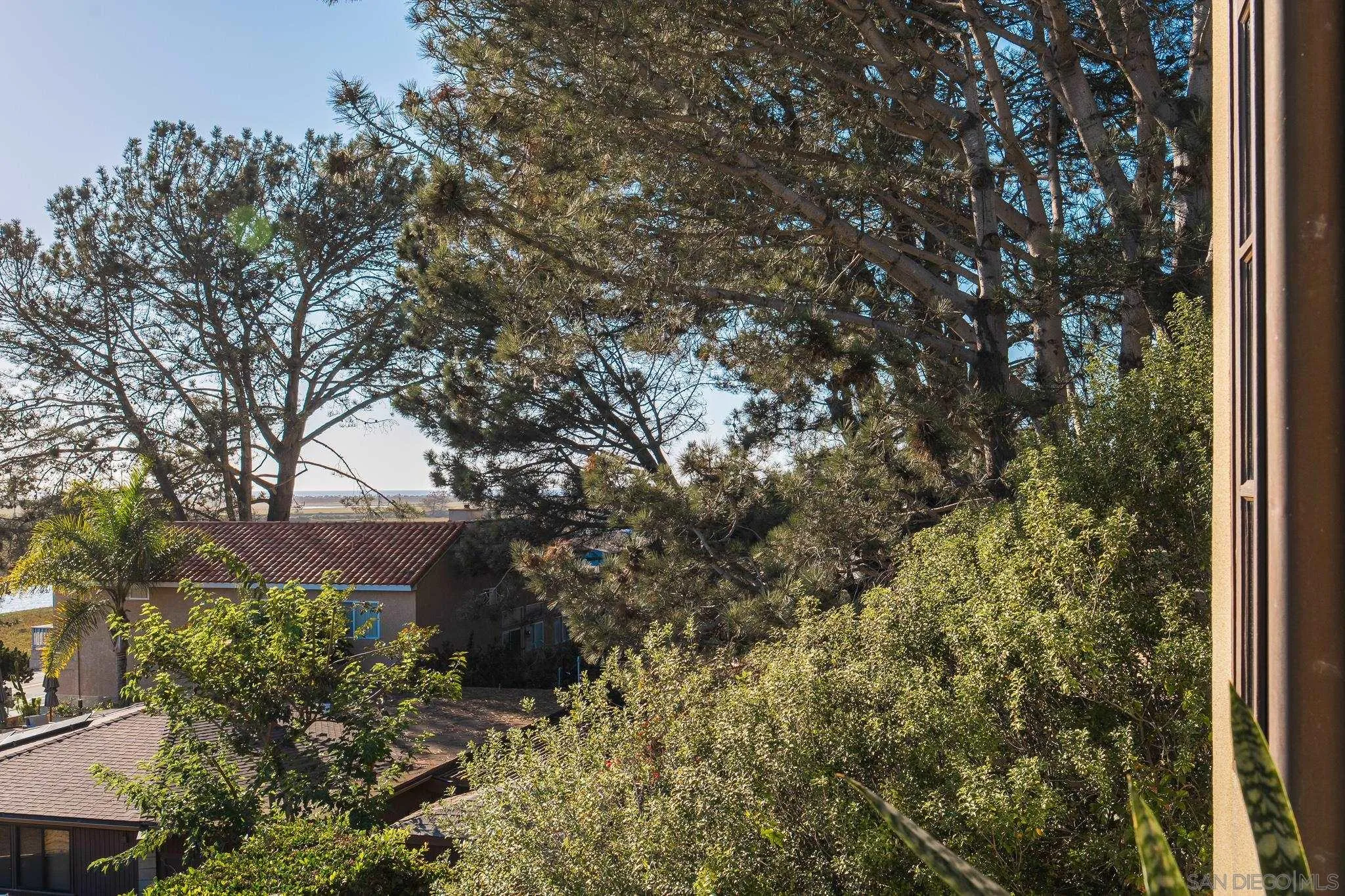 2563 Via Pisa Del Mar, CA 92014 - Photo 50 of 50 a view of a house with a tree