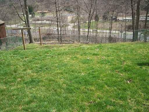 812 Blue Ridge Drive Plum, PA 15239 - Photo 6 of 8 Yard/Garden.