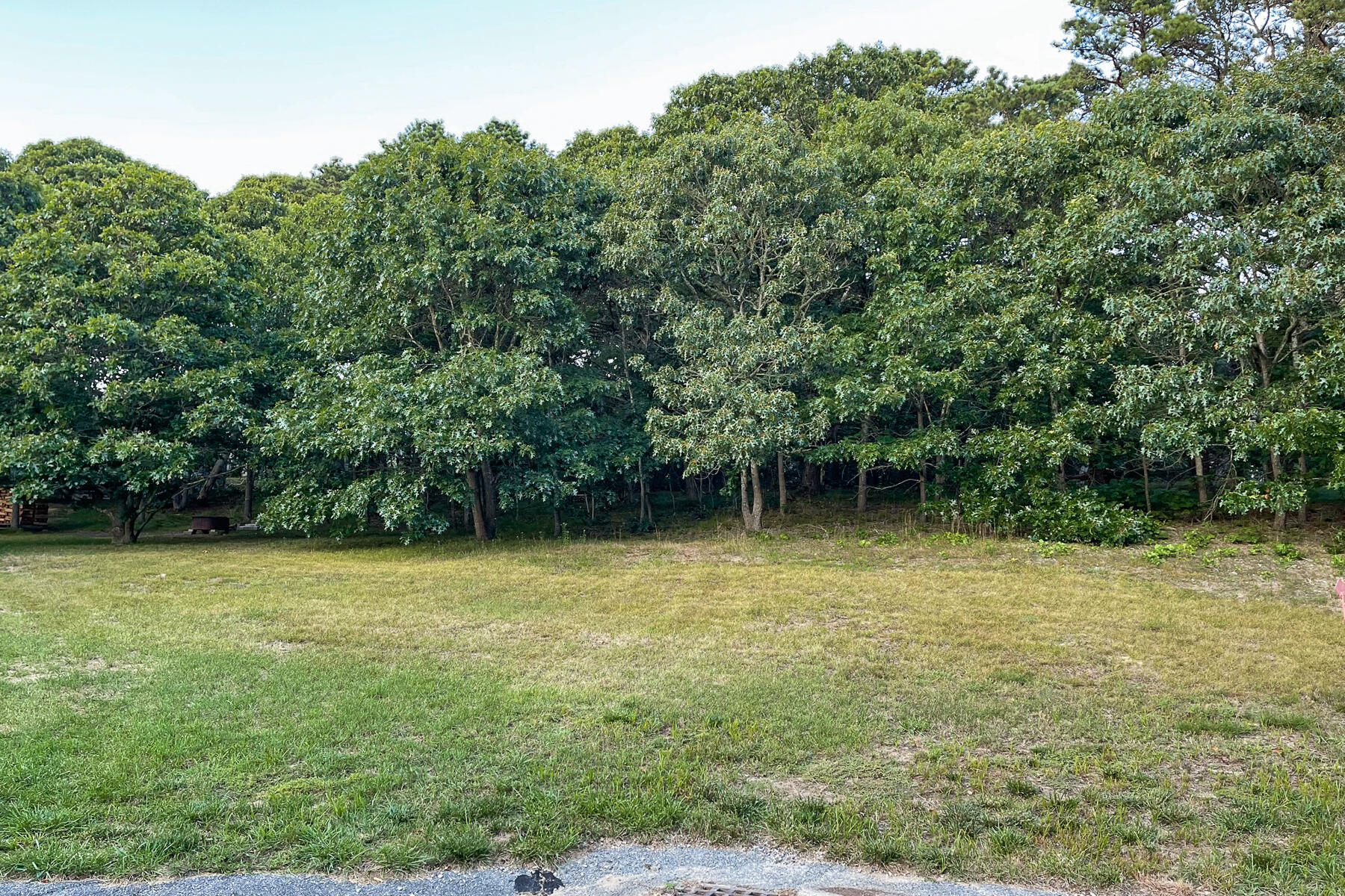 High elevation wooded lot