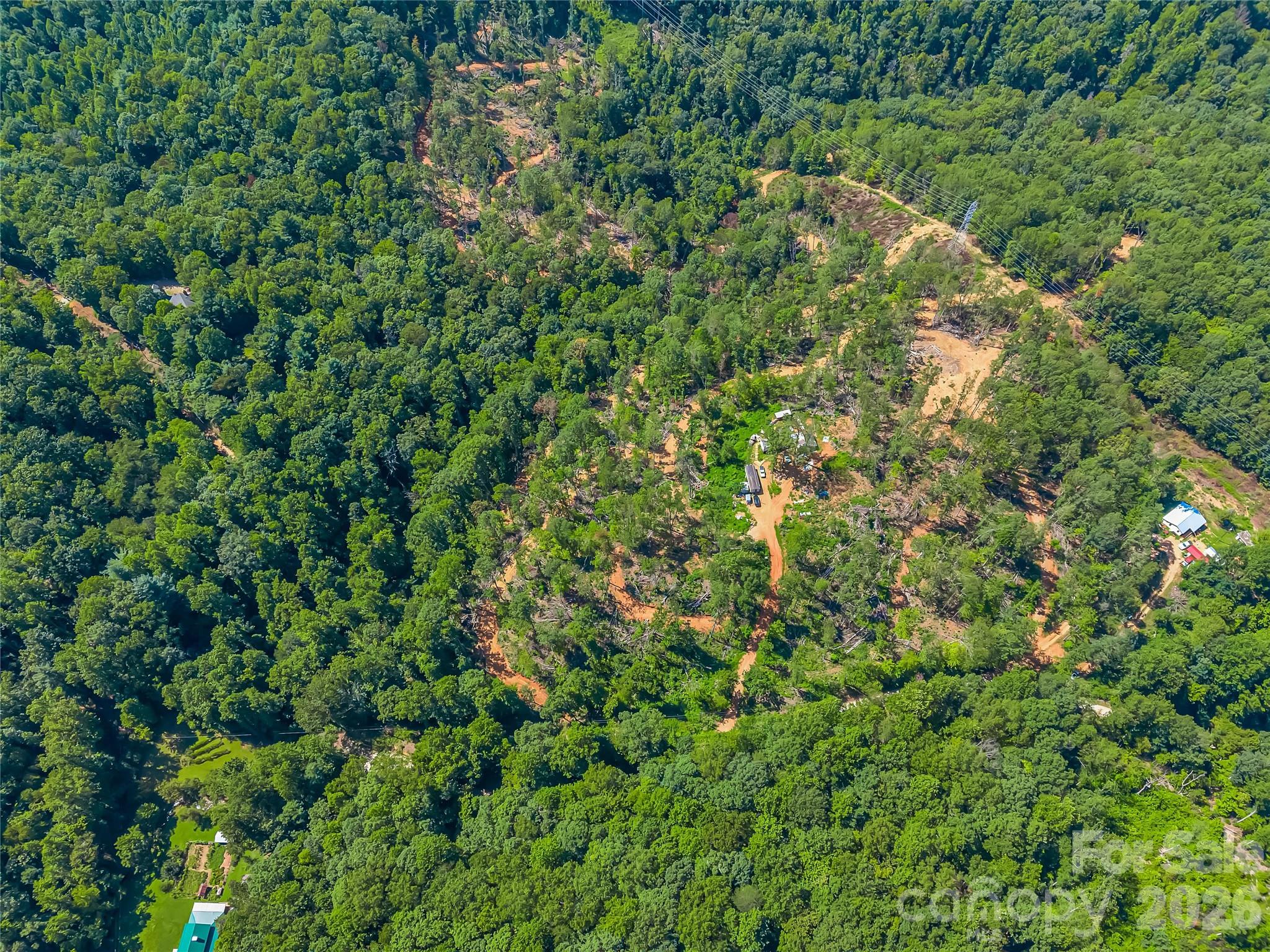 Tbd Early Road Saluda, NC 28773 - Photo 18 of 35 Gallery Image 18