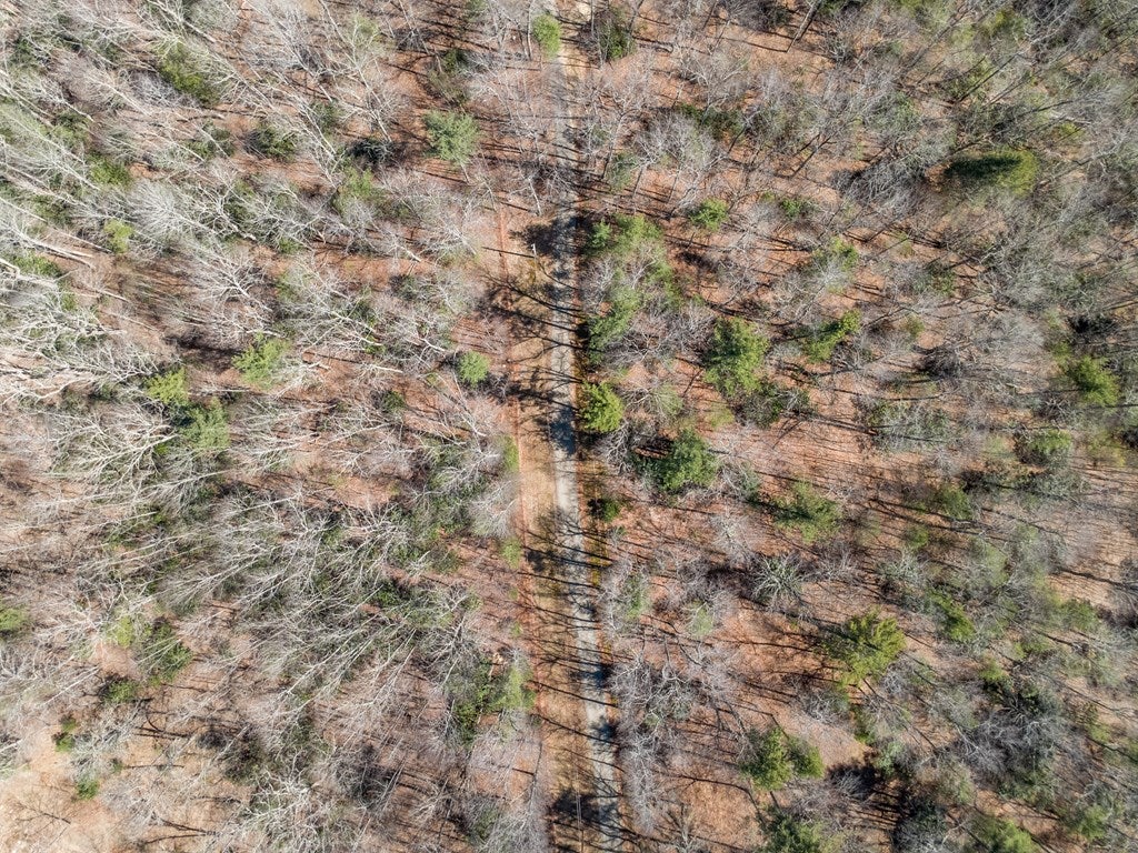 Lot 12 Ridge Line Trail, Unit 12 Independence, VA 24348 - Photo 66 of 66 Gallery Image 66