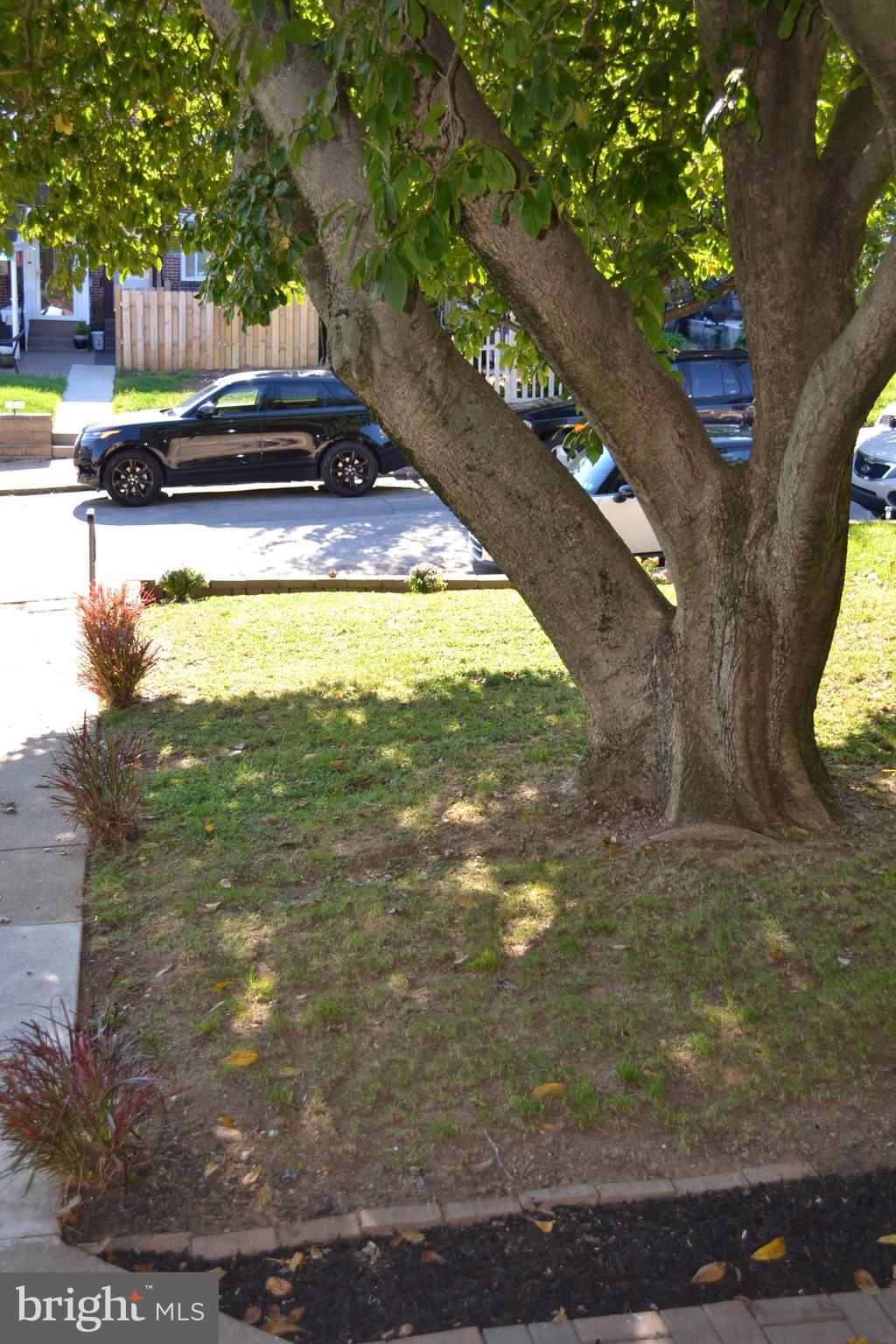 1363 Pennington Road Philadelphia, PA 19151 - Photo 2 of 34 Front Yard