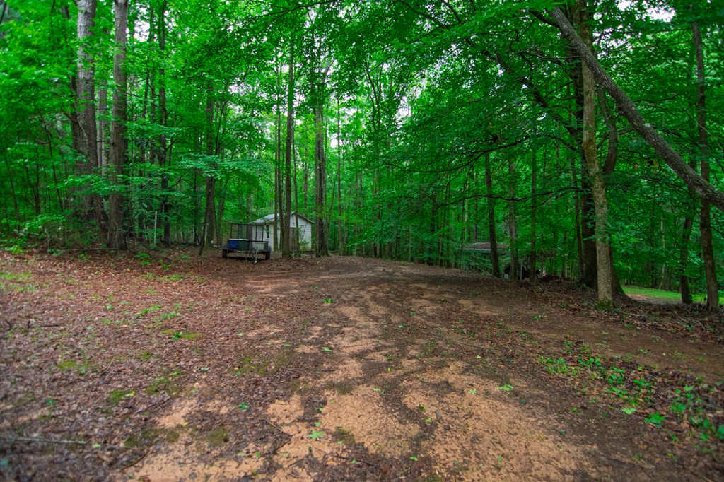 8639 Lower Blue Springs Road Fortson, GA 31808 - Photo 42 of 47 Gallery Image 42